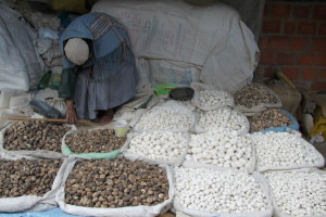 1500 kinds of popatoes in Bolivia - 2