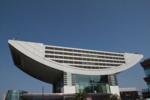 IMG_5868-300x200