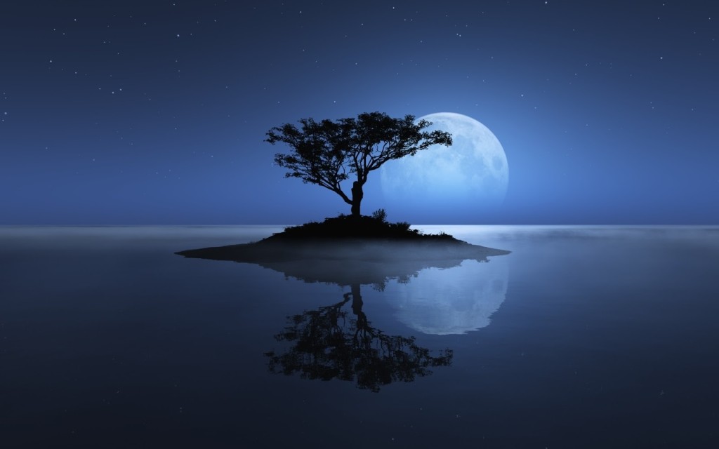 tree-sea-moon-reflection-island-stars-night