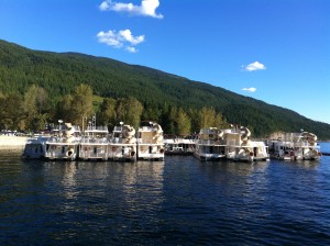 IMG_0785-300x224
