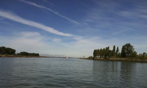 IMG_1371-300x181