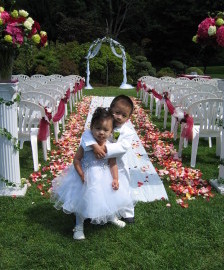 Picture-051-224x300