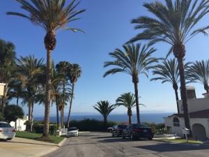 IMG_0144-300x225